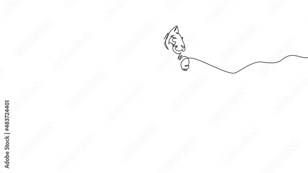 Tiger, continuous line, symbol of 2022 year of Chinese calendar. Animal head, stylish minimalistic concept. Contemporary hand drawn illustrations Tiger, continuous line, symbol of 2022 year of Chinese calendar. Animal head, stylish minimalistic concept. Contemporary hand drawn illustrations