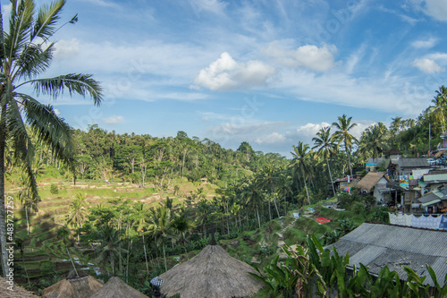 Village and rice terraces at Bali, Indonesia