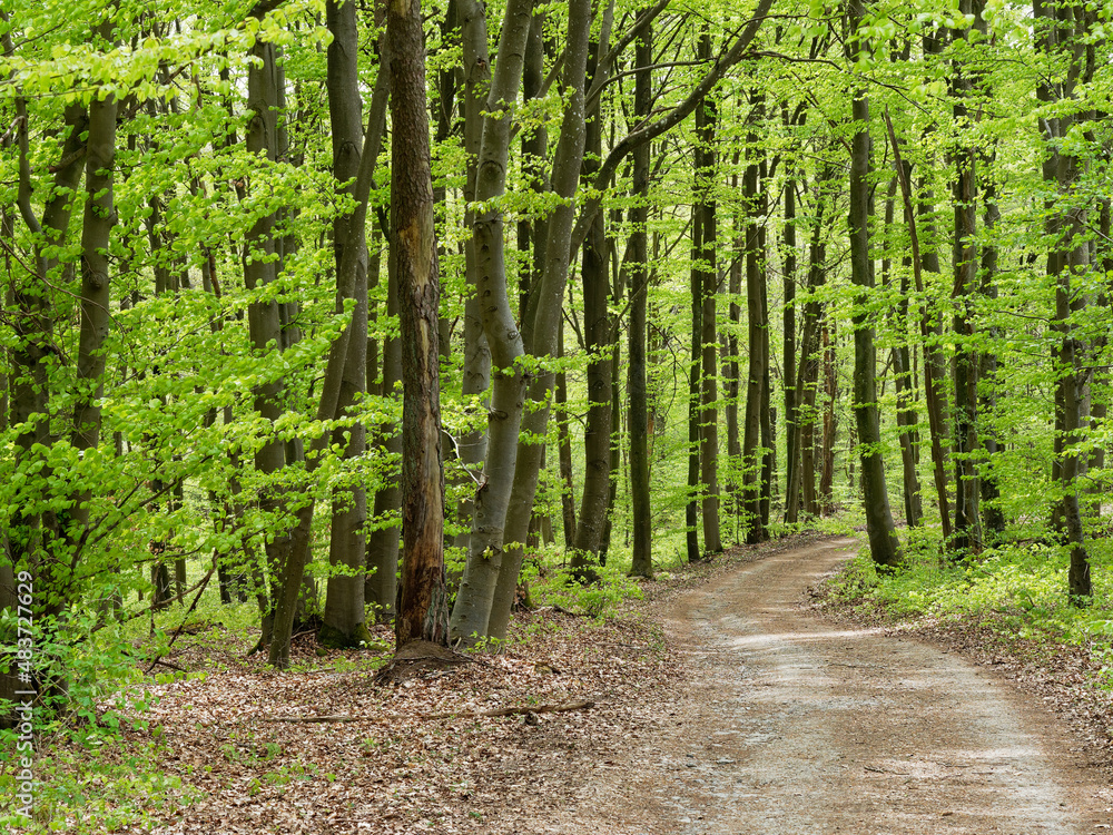 Landschaft im Naturschutzgebiet Mäusberg bei Karlstadt, Landkreis Main