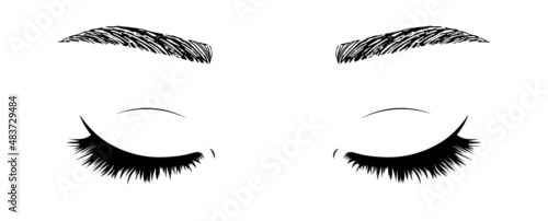 Hand drawn woman's sexy makeup look with perfectly shaped eyebrows and lashes. Vector illustration for business visit card, typograph, print. Perfect salon look. Woman with close eyes.