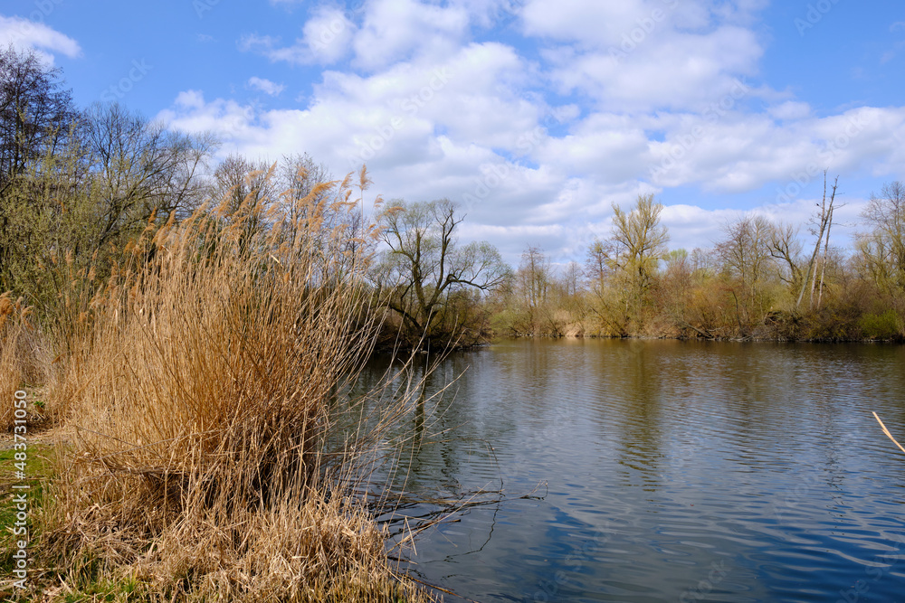 Fototapeta premium Sander Baggerseen im Naturschutzgebiet Mainaue bei Augsfeld, Landkreis Hassberge, Unterfranken, Franken, Bayern, Deutschland.