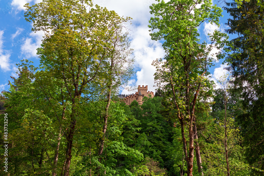 Fototapeta premium Castle in the forest