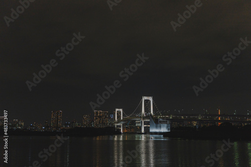 お台場から見た、夜のレインボーブリッジと東京の街並み