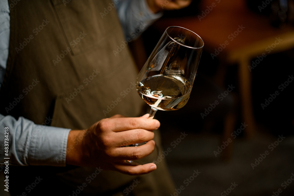 the bartender holds a glass of wine in his hands the bartender holds a glass of wine in his hands