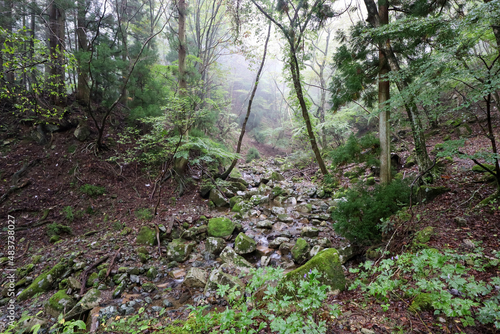 登山 登山