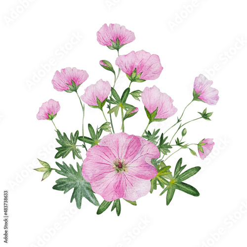 watercolor pink flower geranium composition