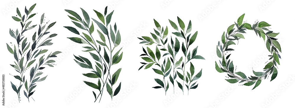 Fototapeta premium branch, background, watercolor, leaves,