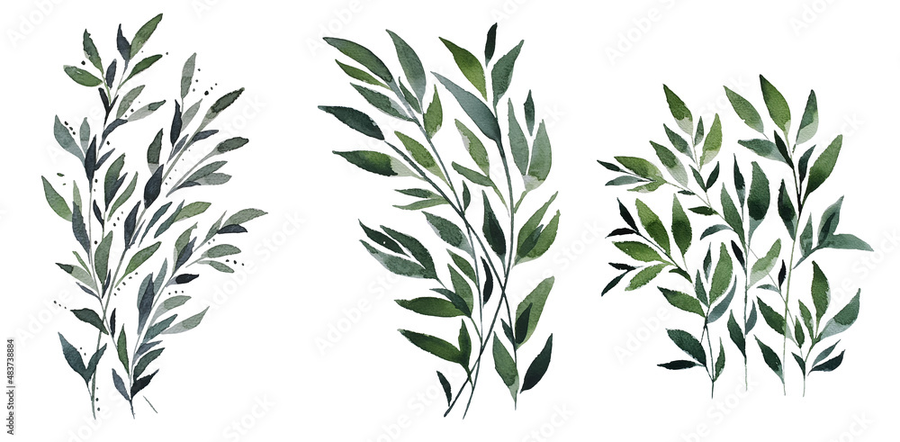 branch, background, watercolor, leaves, branch, background, watercolor, leaves,