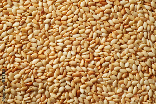Roasted sesame seeds background/ Top view macro photo with shallow depth of field.