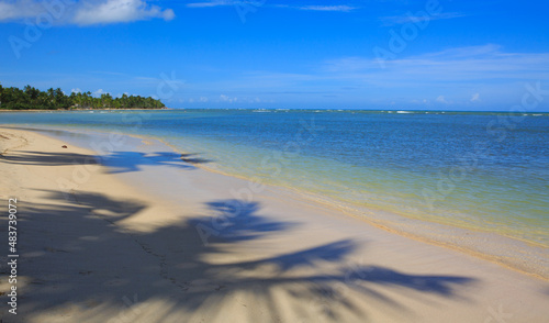 Fototapeta Naklejka Na Ścianę i Meble -  Palm trees on white tropical beach. Travel background.