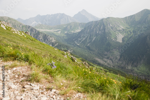 scenic mountain view in Poland Tatry.