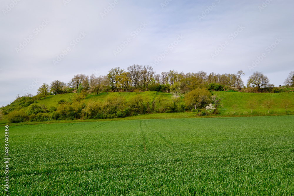Fototapeta premium Landschaft im Naturschutzgebiet Hohe Wann bei Prappach, Stadtteil der Kreisstadt Haßfurt, Landkreis Hassberge, Unterfranken, Franken, Bayern, Deutschland