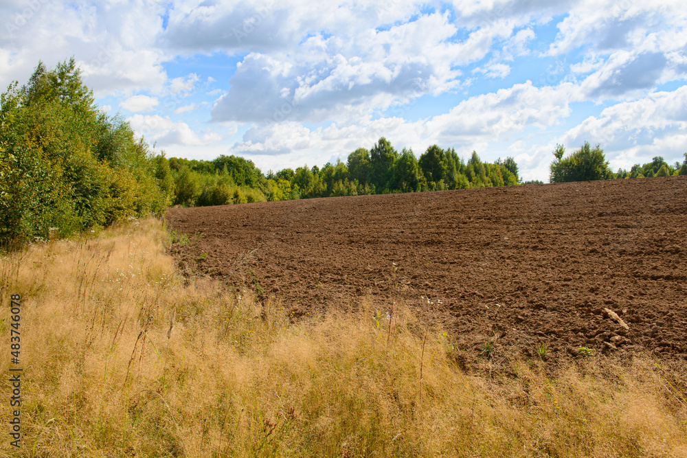 Summer landscape with a plowed field and forest on a hill