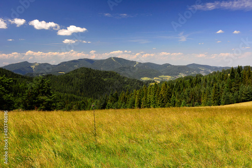 Lovely scenery in summer. Grassy meadow in mountains and blue sky width white clouds, Low Beskid (Beskid Niski), Poland