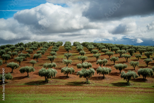 PORTUGAL ALENTEJO JUROMENHA photo