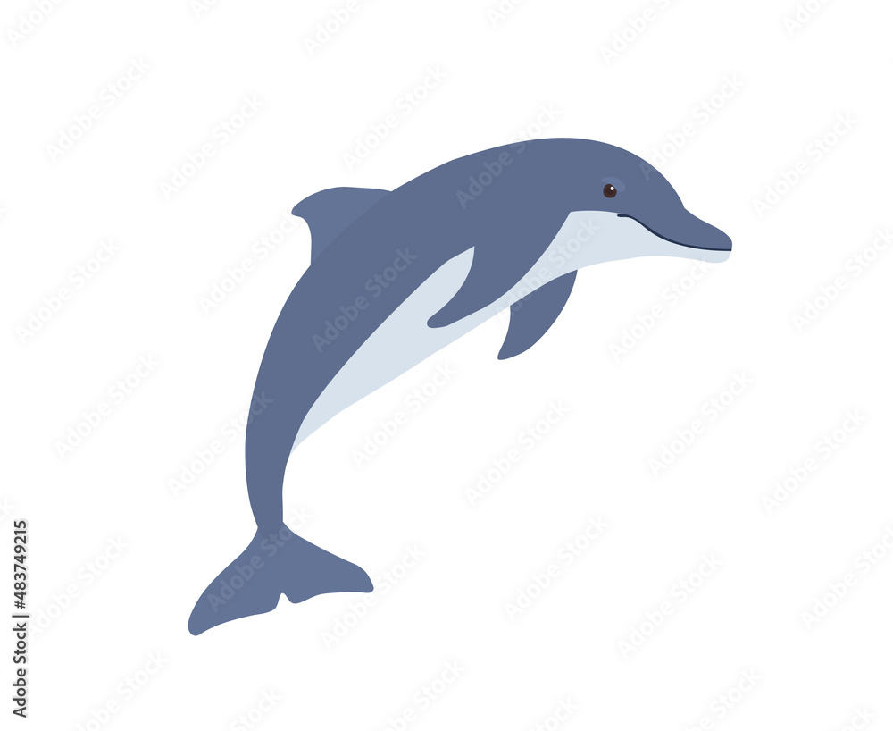 Obraz premium Funny blue Dolphin. Vector illustration