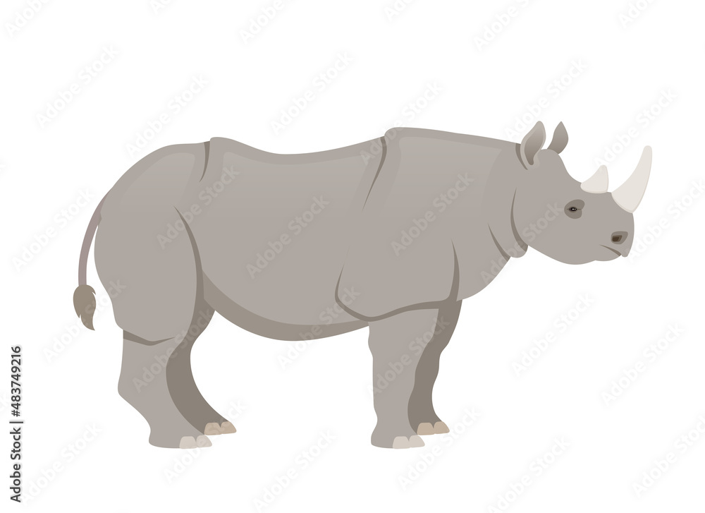 African rhinoceros, side view. Vector illustration isolated on white background