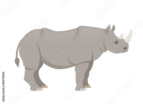 African rhinoceros  side view. Vector illustration isolated on white background
