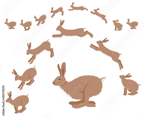 Rabbit or hare jumping motion animation sequence. Vector Illustration