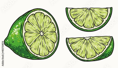Creative set of lime parts