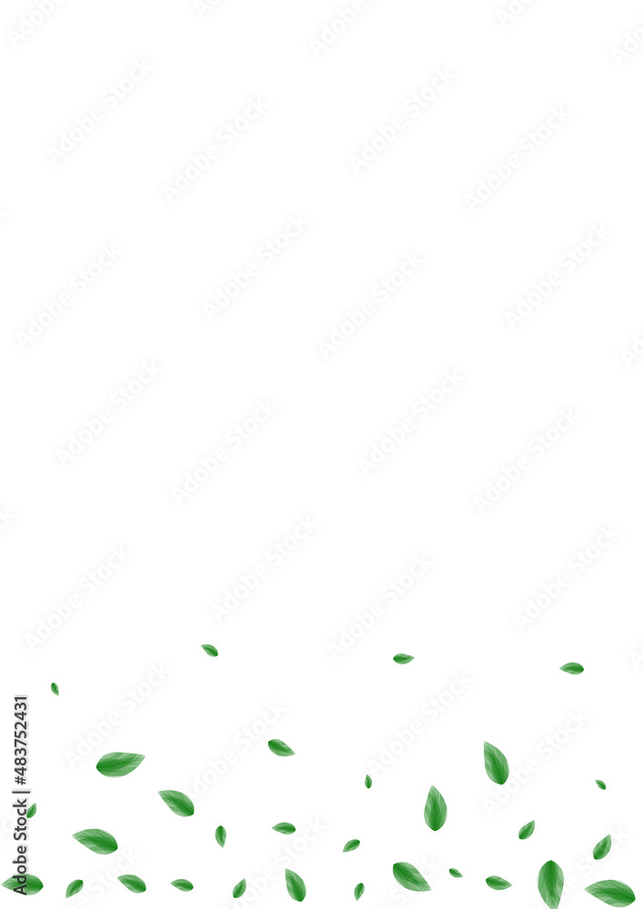 Light Green Foliage Background White Vector. Greenery Fresh Illustration. Icon Card. Green Structure Texture. Plant Wild. Light Green Foliage Background White Vector. Greenery Fresh Illustration. Icon Card. Green Structure Texture. Plant Wild.
