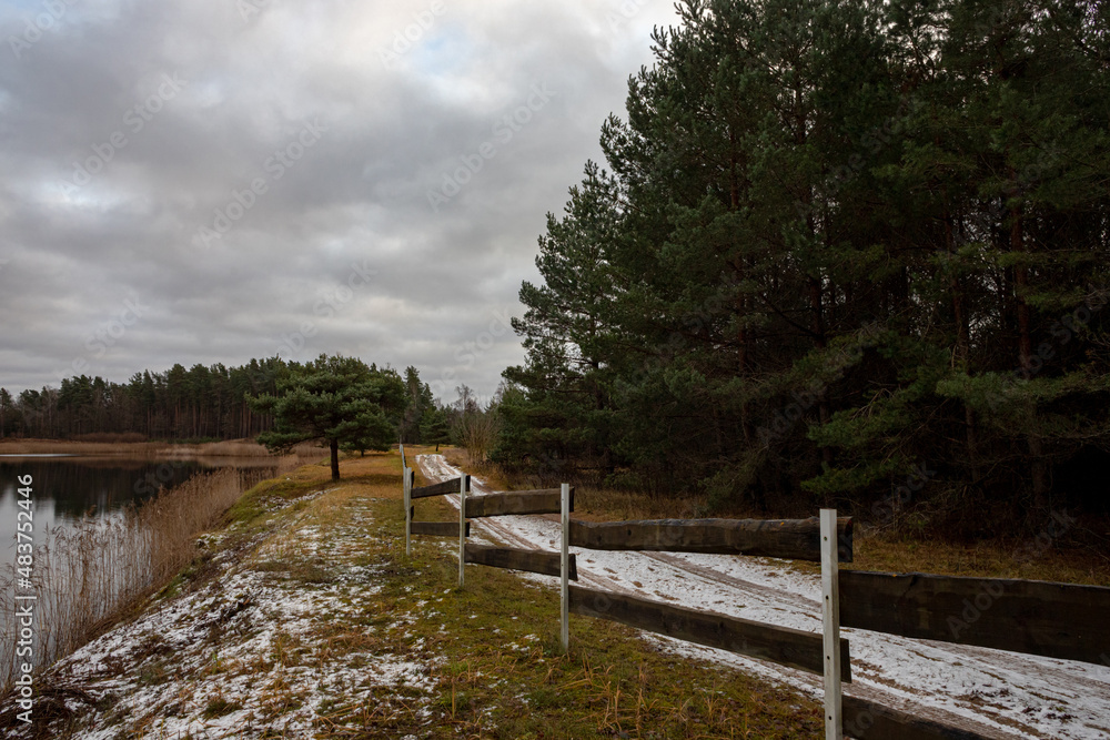 Fototapeta premium country road near pond, wooden fence, pine forest, first snow covered ground, cloudy sky, evening light