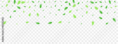 Greenish Vegetation Background Transparent Vector. Leaves Selective Illustration. Growing Texture. Green Light Card. Plant Life.