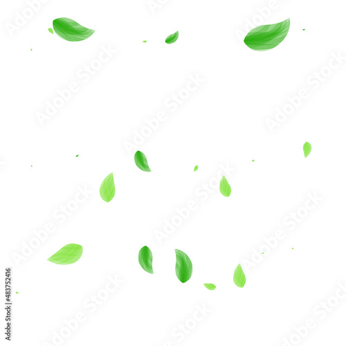 Light Green Sheet Background White Vector. Greenery Life Frame. Shape Texture. Greenish Vivid Card. Leaf Decoration.