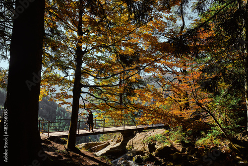 Todtnau Wasserfall