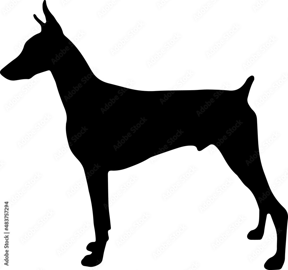 Doberman EPS, Doberman Silhouette, Doberman Vector, Doberman Cut File