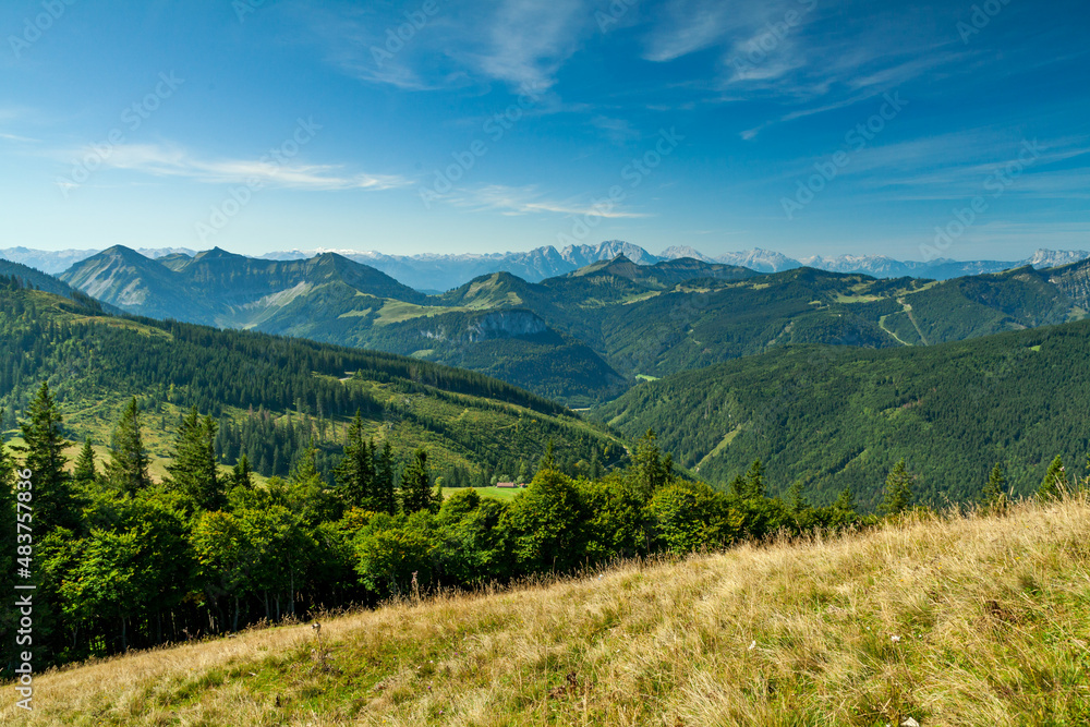 Panorama der Alpen mit Almwiese, Tal mit Baum und Wald, Gebirge mit Gipfel und Berg