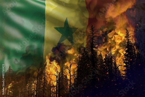 Forest fire natural disaster concept - burning fire in the woods on Senegal flag background - 3D illustration of nature