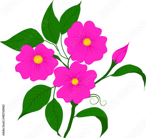 pink flowers on white background, vector illustration