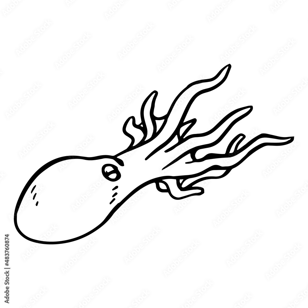 Obraz premium Octopus icon. Hand drawn vector illustration.