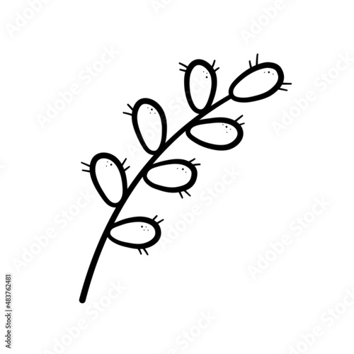 Spring twig easter pussy willow tree. Hand drawn icon in doodle line style. Isolated vector illustration.