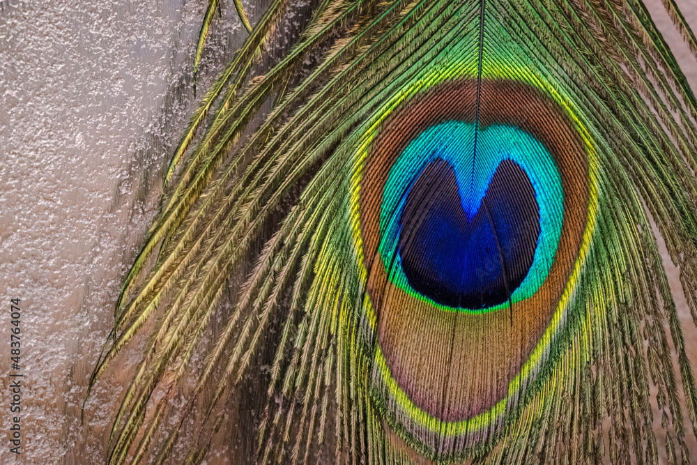 Obraz premium Stillleben