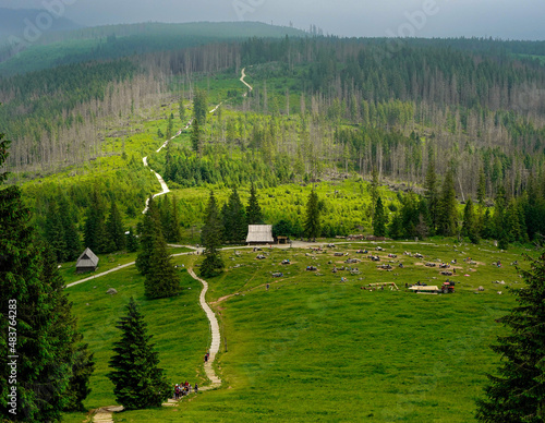 Fototapeta Naklejka Na Ścianę i Meble -  rusinowa polana, gęsia szyja, tatry, zakopane, karpaty , giewont, Polska, dolina kościeliska, morskie oko , dolina gąsienicowa. kasprowy wierch
