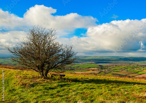 Single tree with a bench. beautiful view over Irish fields