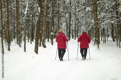 Women with walking poles in winter forest. Race walking in park in winter. Pensioners play sports. Grandmothers in red coats.