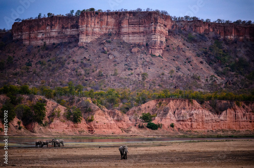 A herd of elephants crosses the dry river in the Gonarezhou National Park in Zimbabwe.

The Chilojo cliffs in Gonarezhou National Park, Zimbabwe.