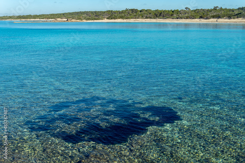 General view of Estanys beach in Colonia de Sant Jordi photo