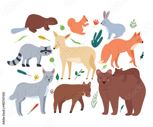 Forest animals set with bears fox squirrel hare wolf beaver hog deer raccoon  great design for any purposes. Woodland fauna collection. Flat cartoon vector illustration isolated for white background.
