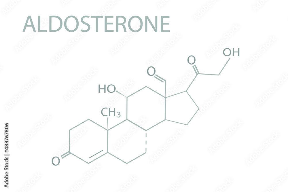 Aldosterone molecular skeletal chemical formula.
Aldosterone molecular skeletal chemical formula.