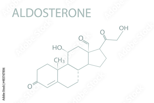 Aldosterone molecular skeletal chemical formula. 