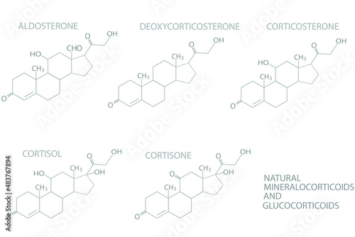 Natural mineralocorticoids and glucocorticoids molecular skeletal chemical formula.	
 photo