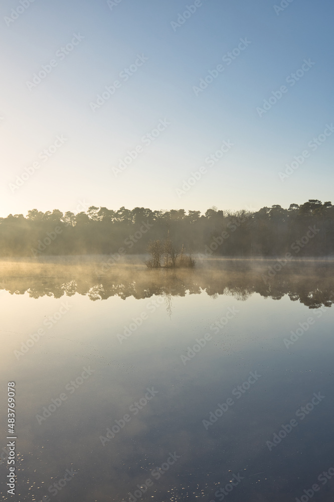 Vertical view on a lake Groot Goorven in Oisterwijk with haze, trees on the horizon and reflections in the water during sunrise in winter. Golden hour landscape with copy space Vertical view on a lake Groot Goorven in Oisterwijk with haze, trees on the horizon and reflections in the water during sunrise in winter. Golden hour landscape with copy space