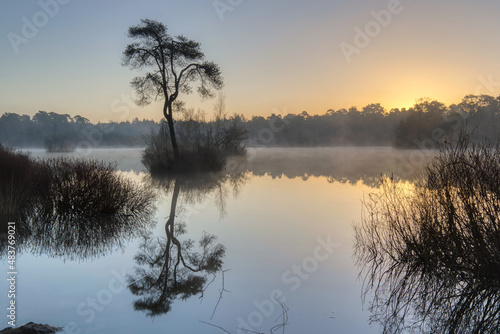 Photography Horizontal view on a tree on a little island in lake Groot Goorven in Oisterwijk with trees on the horizon and reflections in the water during sunrise in winter