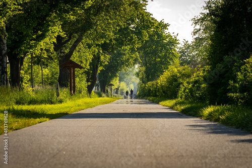 Ruhrtalradweg im Sommer