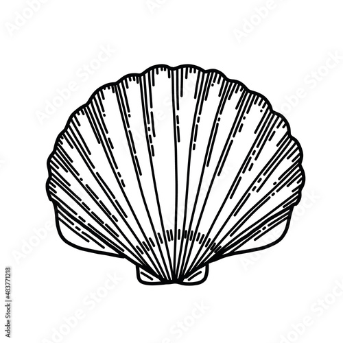 Vector illustration of Sea Shell in line art style. Drawing of Seashell for icon or logo. Sketch of Conch. Black and white colors