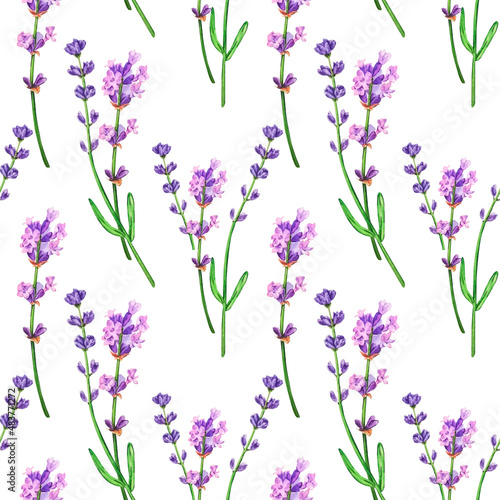 Seamless background  lavender flowers painted in watercolor